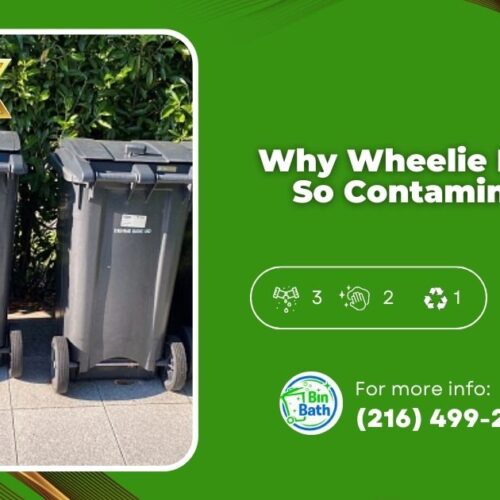 Why Wheelie Bins Get So Contaminated?